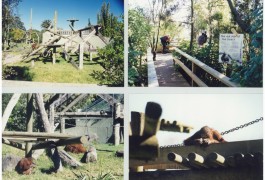 Auckland Zoo | Community | Logan Architects