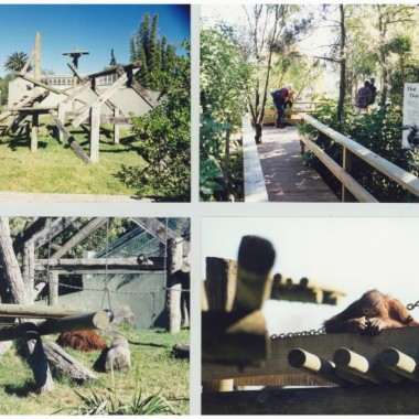 Auckland Zoo | Community | Logan Architects